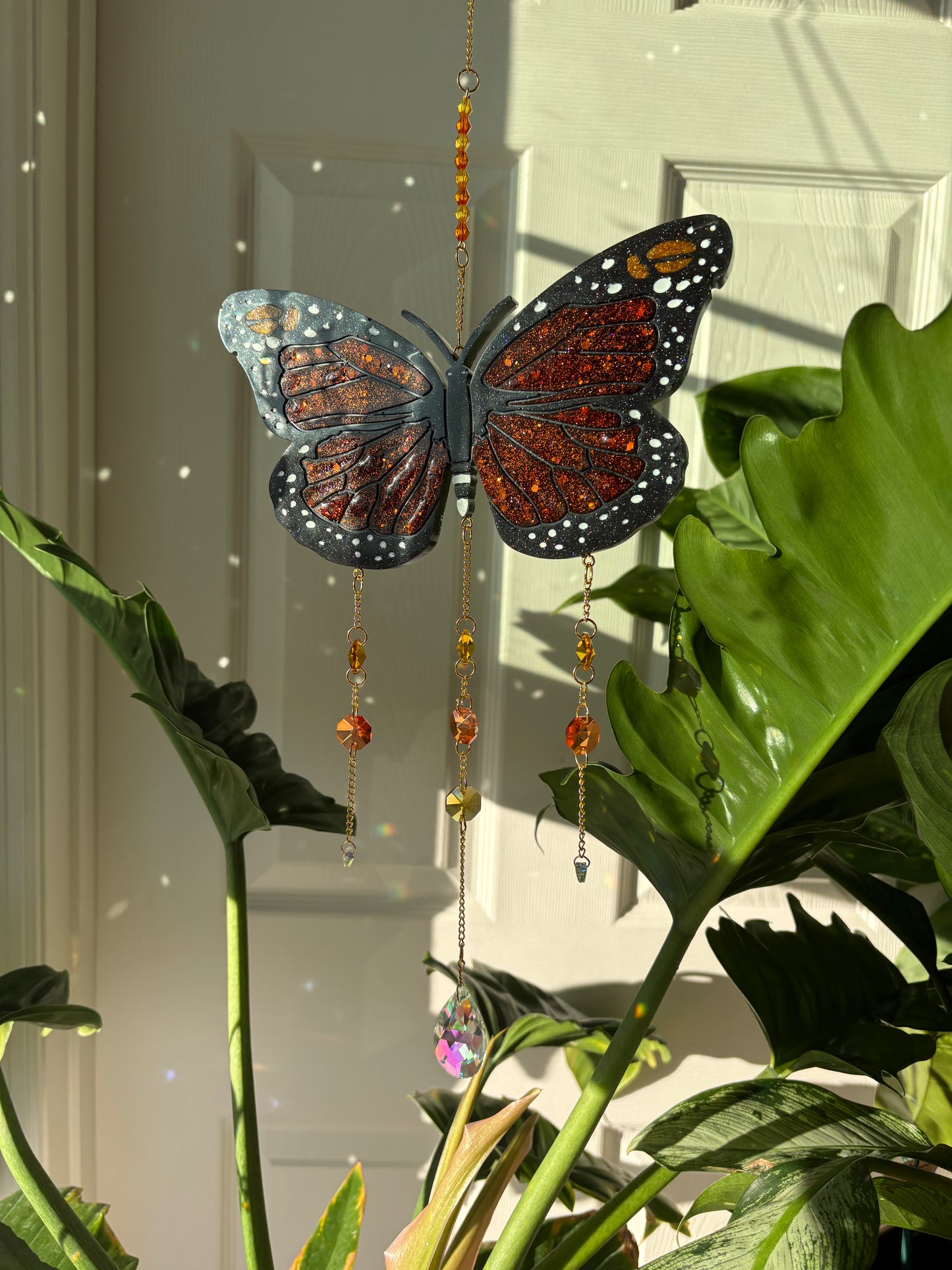 Butterfly Cycle Sun Catchers