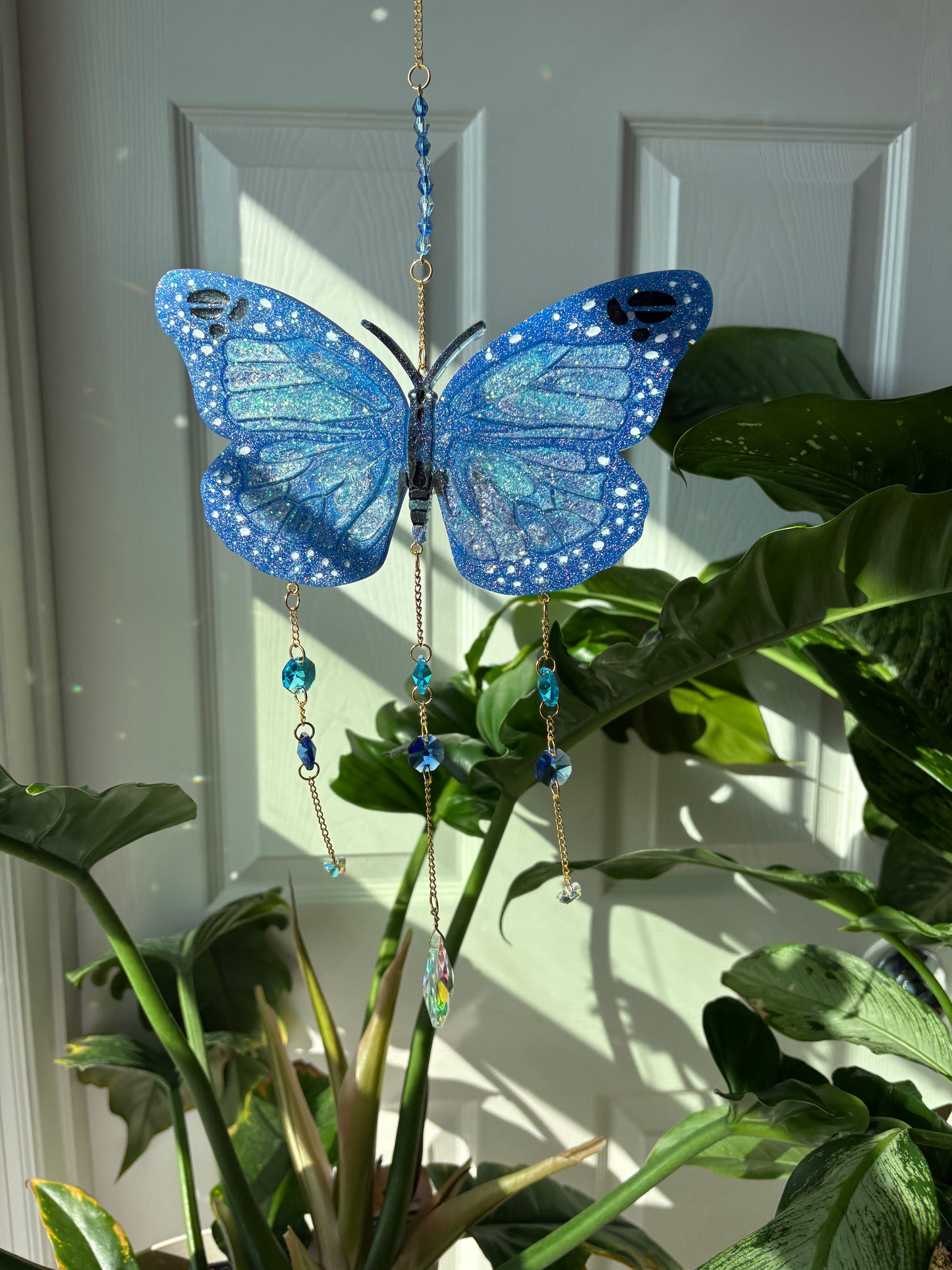 Butterfly Cycle Sun Catchers