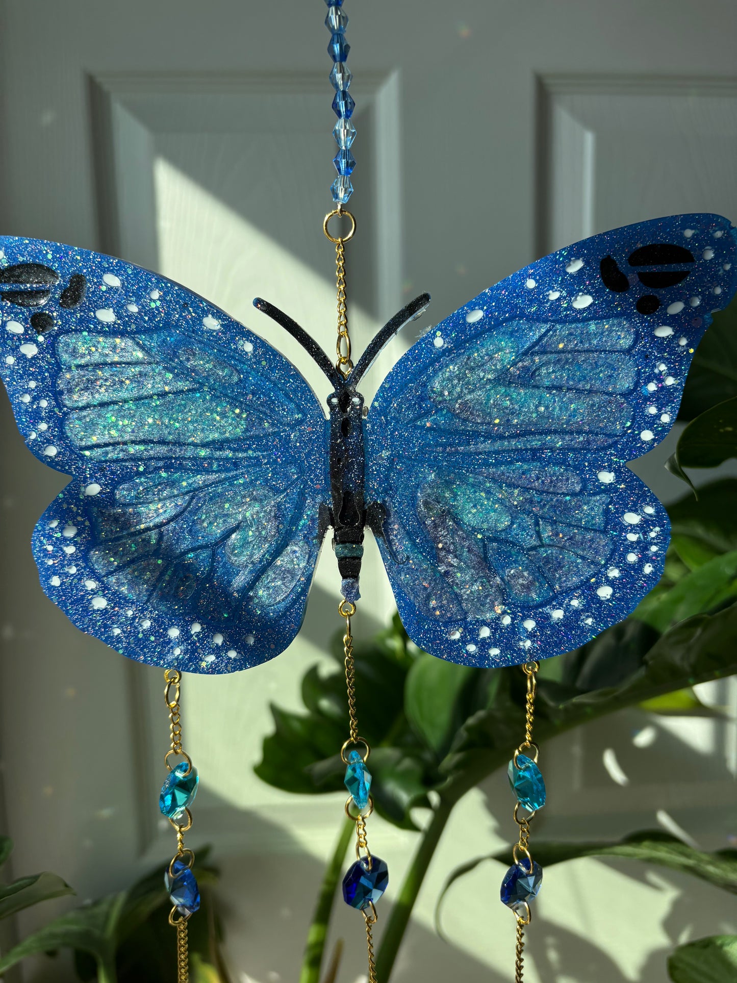 Butterfly Cycle Sun Catchers