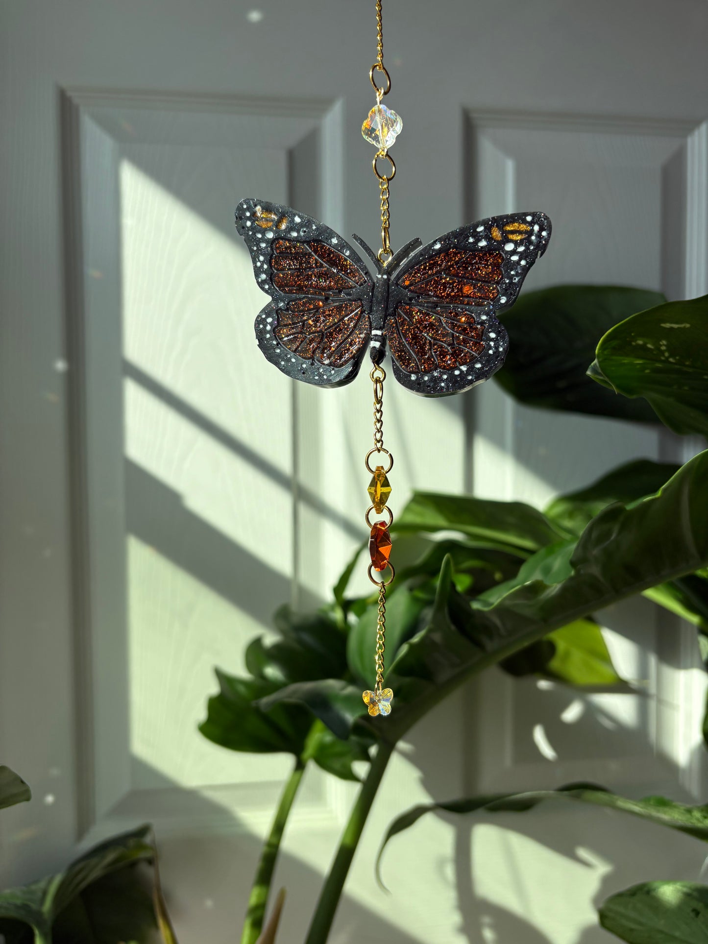 Butterfly Cycle Sun Catchers