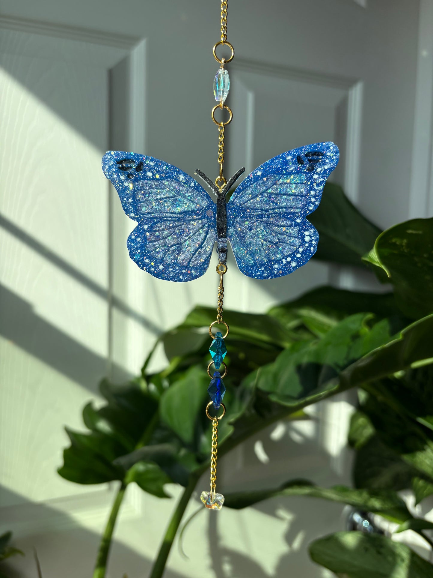 Butterfly Cycle Sun Catchers
