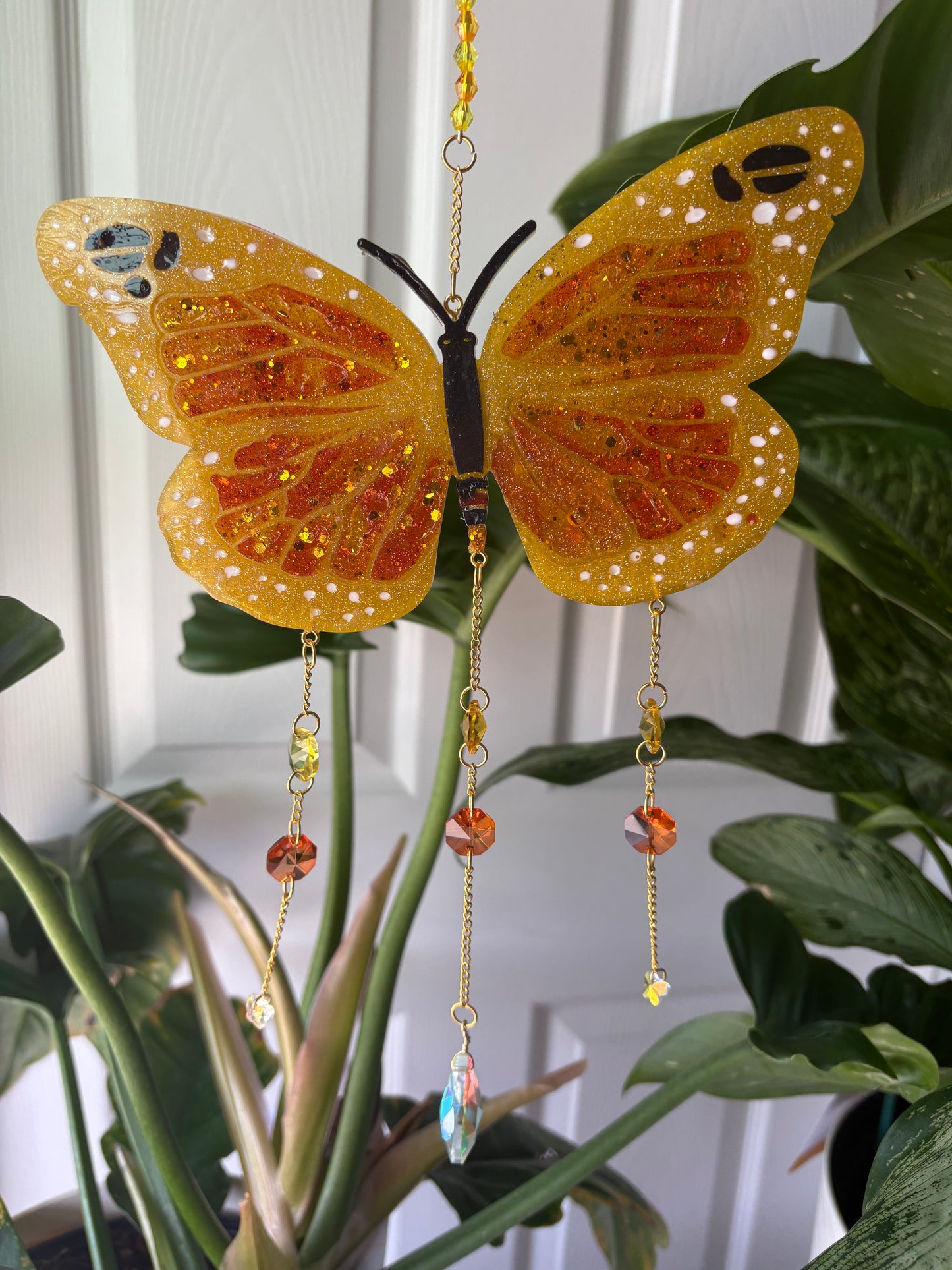 Butterfly Cycle Sun Catchers
