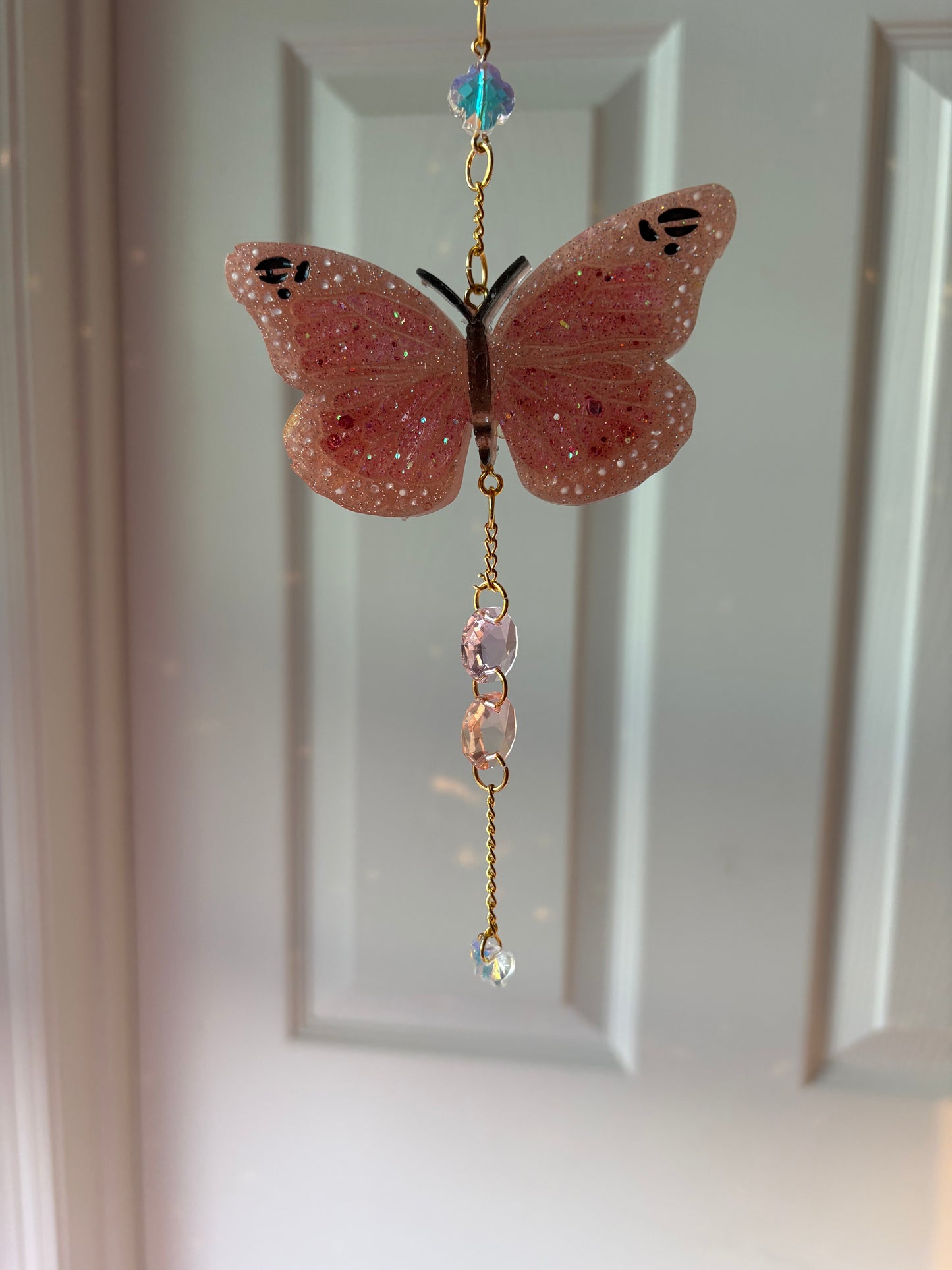 Butterfly Cycle Sun Catchers