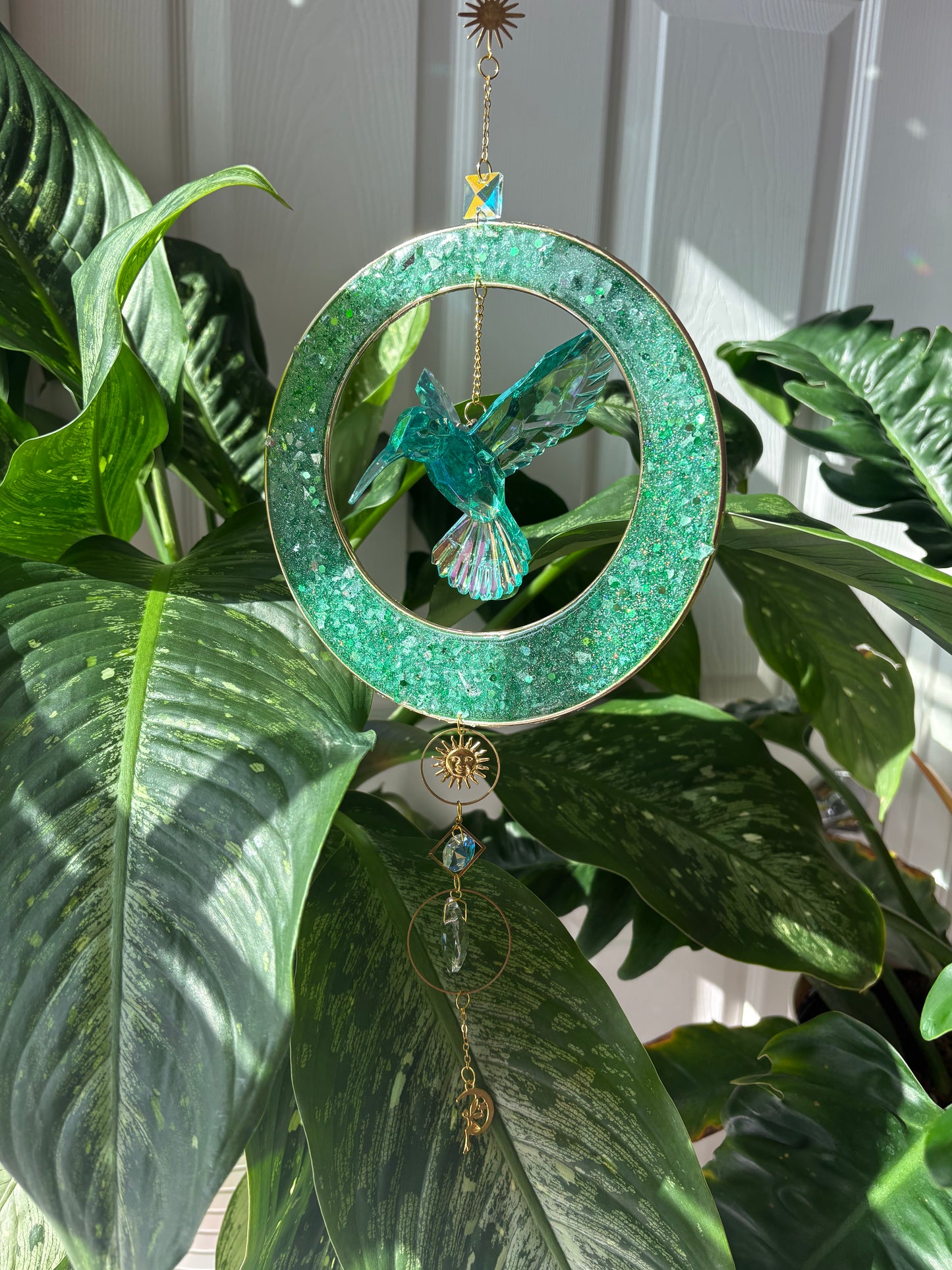 Hummingbird Collection