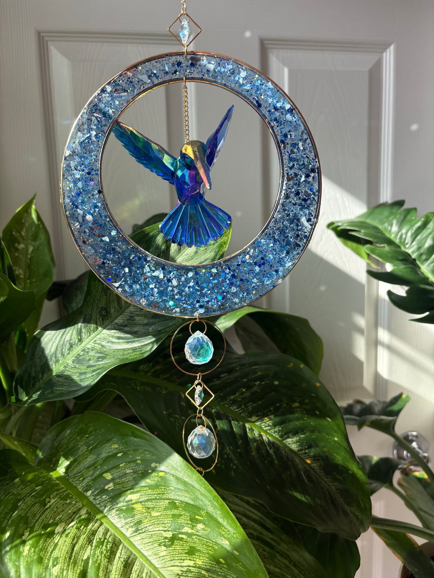 Hummingbird Collection