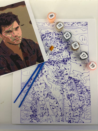 Twilight Character Paint by Numbers Kit