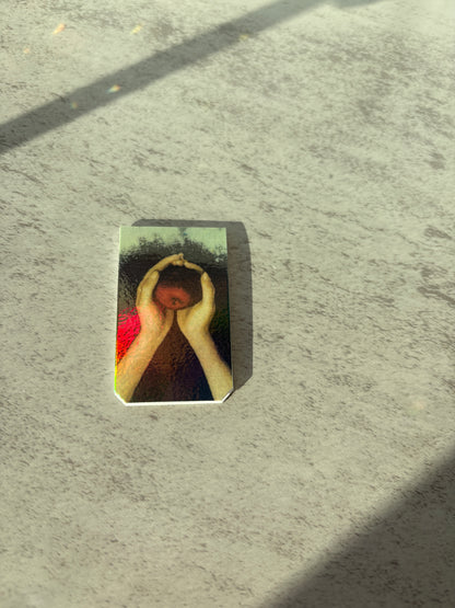 Twilight Inspired Bookmarks Magnets