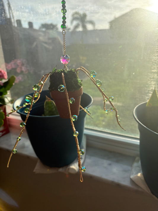 String of Pearls Sun Catchers